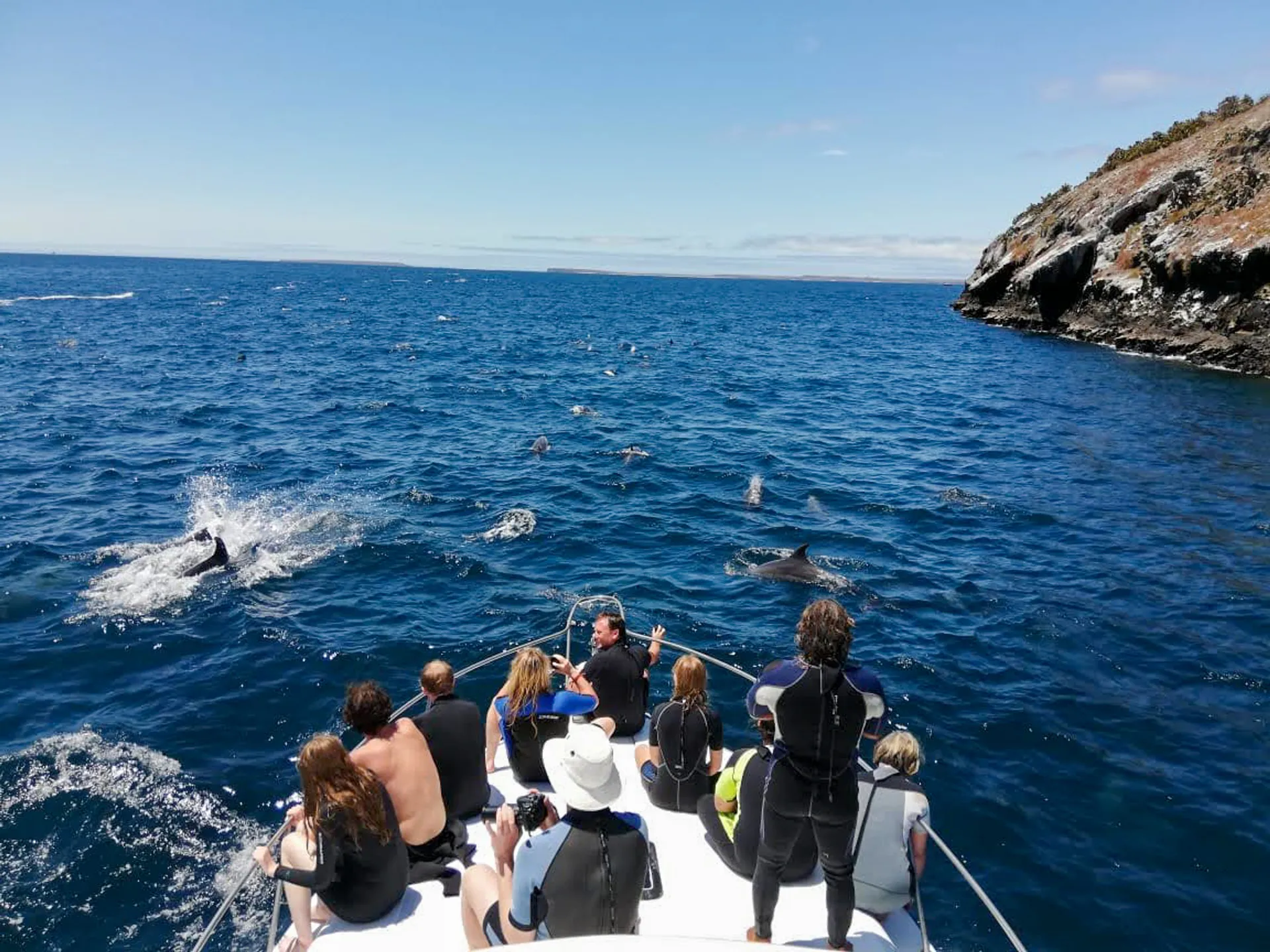 daphne-islet-delfines-volcanic-tours